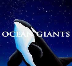 Orca at night - Phone Wallpaper copy